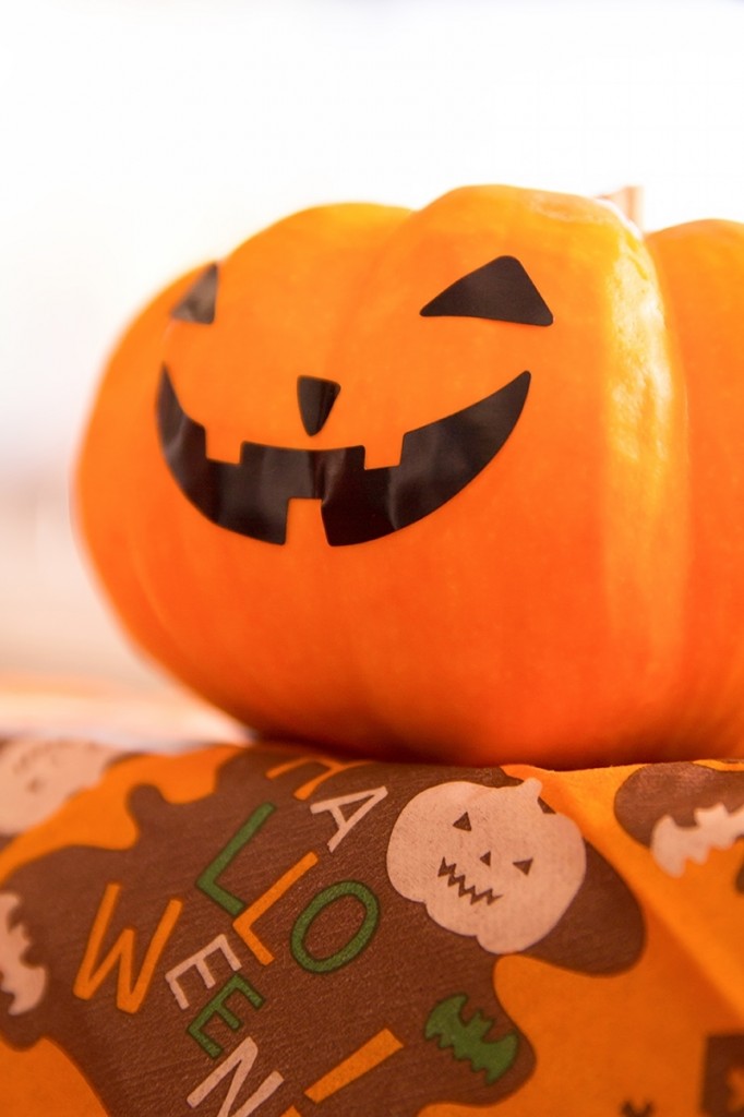 ハロウィンのアクリルたわしのキット　かぼちゃ＆ねこ＆おばけで飾りに